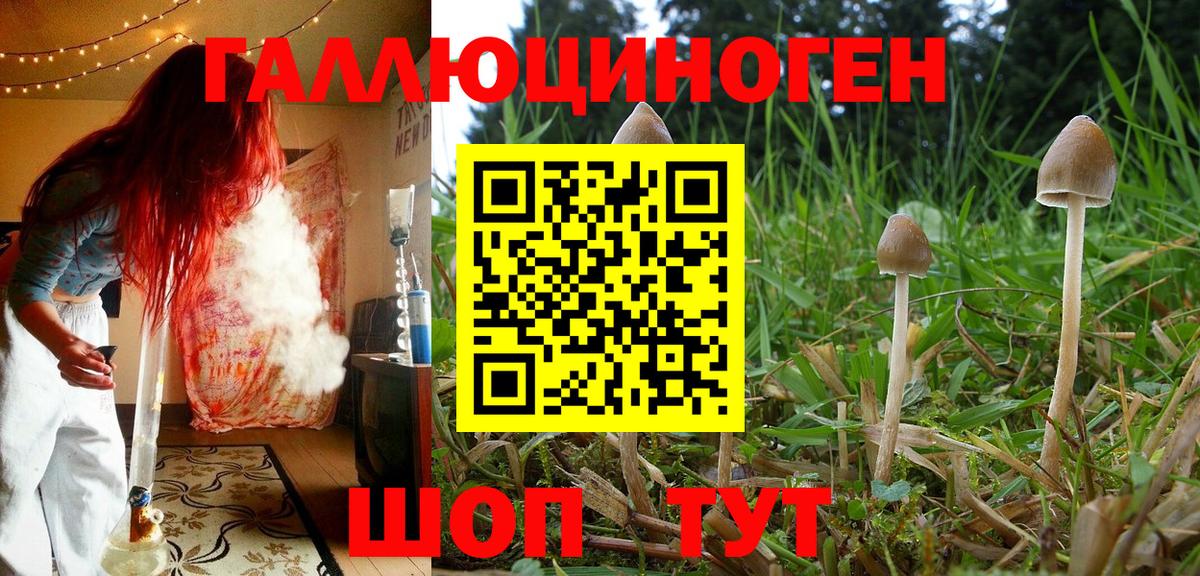 Галлюциногенные грибы ЛСД Вятские Поляны