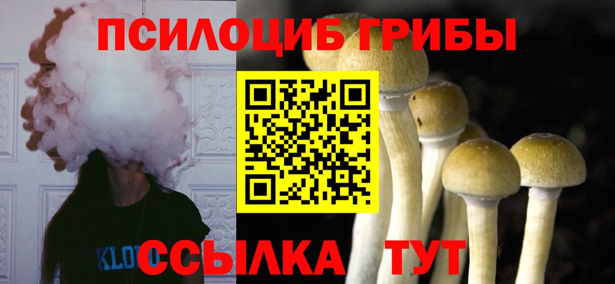 закладки  Галлюциногенные грибы ЛСД  Вход с VPN  Вятские Поляны 